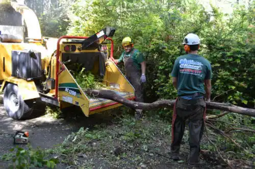 tree services Ladonia